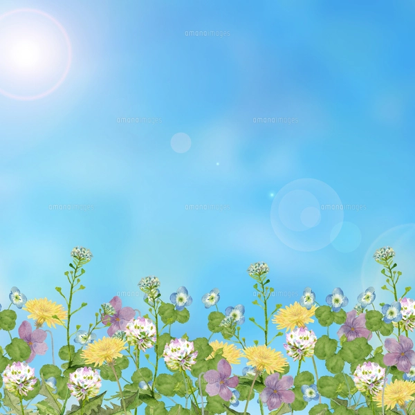 早春の野原 水彩イラストのイラスト素材 [FYI04683083] | ストック