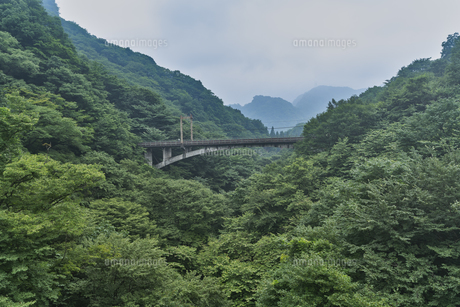 碓氷峠　情景 碓氷峠】紅葉が包む、幻のアプト式廃線跡へ！日本初の重文・近代