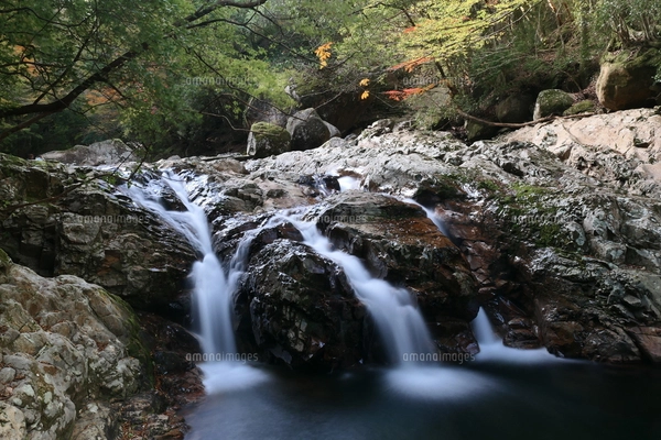 【ニック】岩肌を流れる渓流 渓谷の岩肌を流れる渓流の写真素材 [FYI04685830] | ストックフォトの