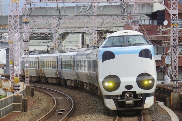 阪和線の特急くろしおの写真素材 [FYI04765208] | ストックフォトの