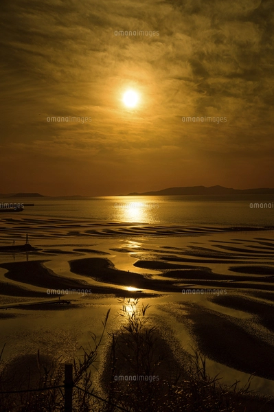 掛軸　藤井啓玉　「凪之夕日」 自然の神秘 夕日に砂紋が映え、癒やされる景勝風景 日本の「渚百選