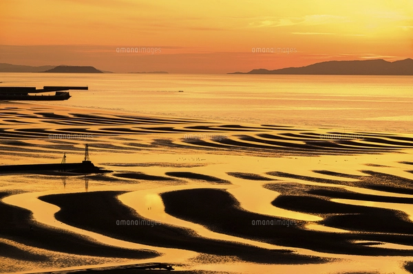 自然の神秘 夕日に砂紋が映え、癒やされる景勝風景 日本の「渚百選