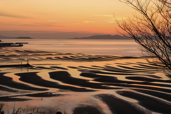 自然の神秘 夕日に砂紋が映え、癒やされる景勝風景 日本の「渚百選