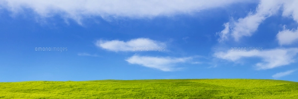 緑の草原と青空に雲の写真素材 [FYI04843163] | ストックフォト