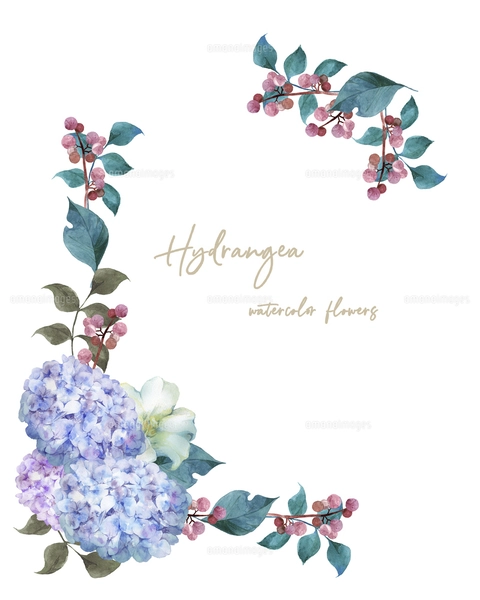 紫陽花の水彩画 フレーム付き 94701df7fa7f06c490bd17d2f8cf27