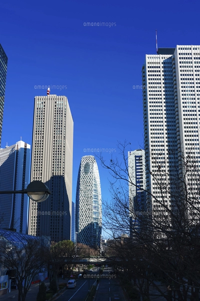 青空を背景にそびえ立つ西新宿の超高層ビル群の写真素材 [FYI04850093