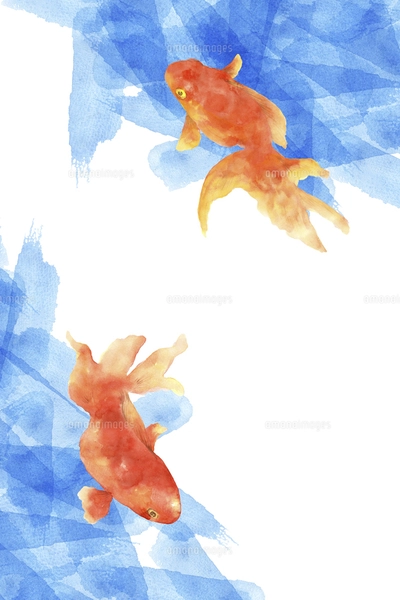 金魚の手描き水彩画のイラスト素材 [FYI04862780] | ストックフォトの