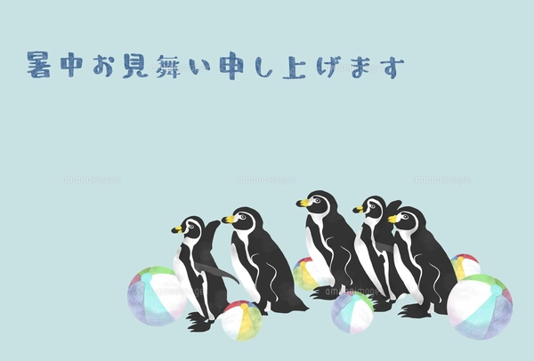 ペンギンの手描きイラスト はがきサイズのイラスト素材