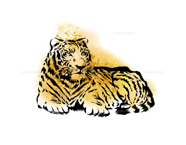 手描き水彩画 虎 寅 絵画 【公式通販】