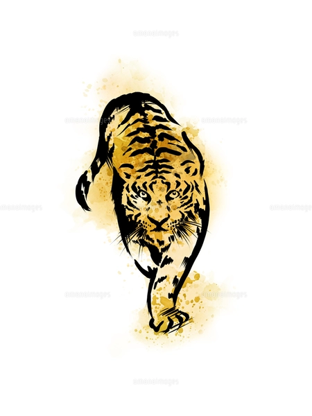 手描き水彩画の虎のイラスト素材 [FYI04879140] | ストック