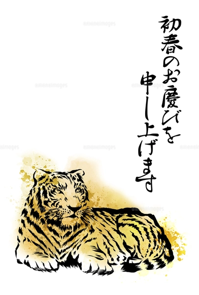 水彩画の虎 はがきサイズのイラスト素材 [FYI04879148] | ストック