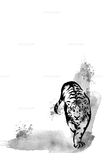 手描きの虎 水墨画風年賀状のイラスト素材 [FYI04879157