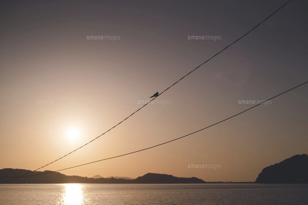 呼子大橋夕日（佐賀県唐津市）風景画 クレパス画原画 呼子大橋夕日