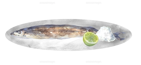 静物画　秋刀魚とレモン　版画 il_340x270.2396279057_2b1i.jpg