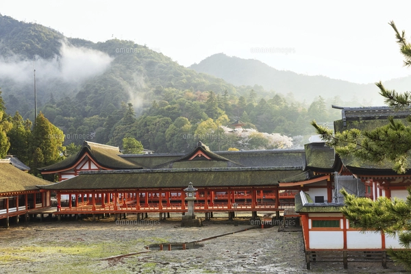 夕霧がかかる春の厳島神社、鏡の池の写真素材 [FYI04899960