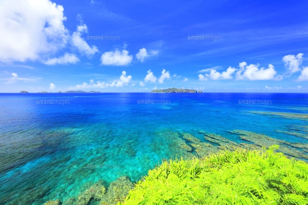 小笠原国立公園 母島の鮫ヶ崎展望台より紺碧の海の写真素材
