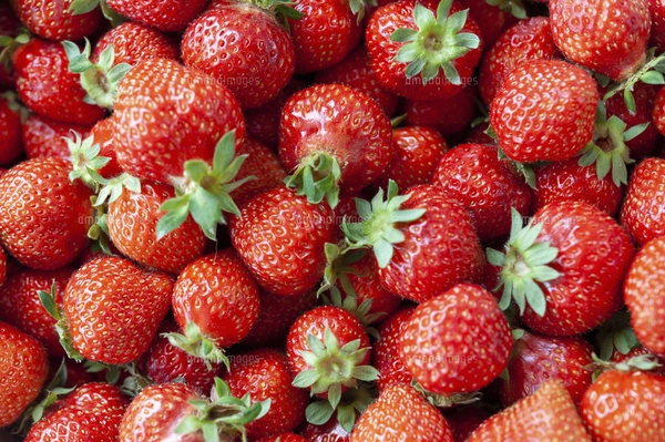 いちご2個の写真素材 [FYI04782458] | ストックフォトの Qlean Market