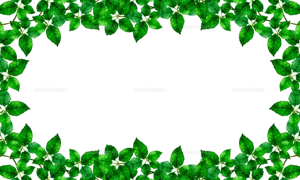 ジャングルっぽい背景素材 南国の植物の手描き水彩イラスト素材の