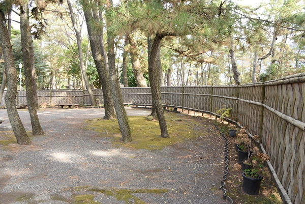 伝統的竹垣・沼津垣の写真素材 [FYI04998137] | ストックフォトの 