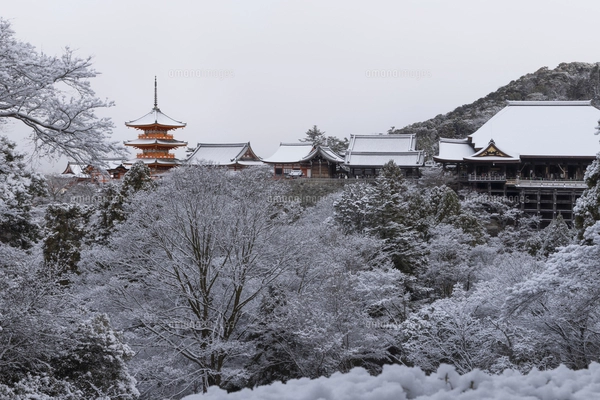 雪の清水寺 全景の写真素材 [FYI05006135] | ストックフォトの Qlean