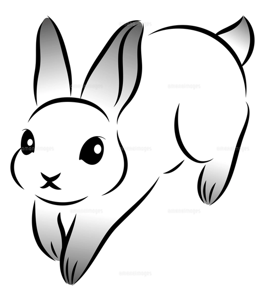 【うさぎ】手描きイラスト うさぎのかわいい手描きイラストのイラスト素材 [85932459] - PIXTA