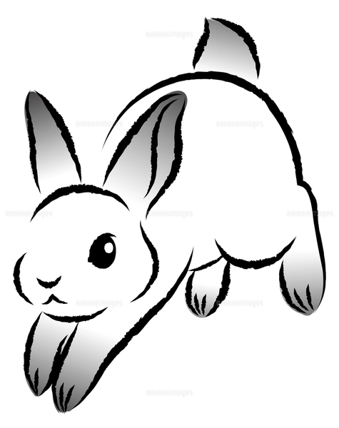 元気に飛び跳ねているウサギ 絵筆で描いた墨絵風のお洒落なイラスト 