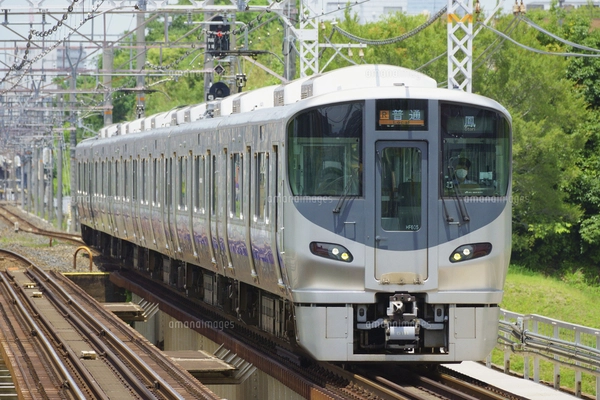 阪和線の223系区間快速の写真素材 [FYI05011028] | ストック