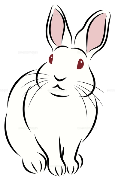 【うさぎ】手描きイラスト かっこいいサングラスをかけたかわいいうさぎイラスト画像とPNG