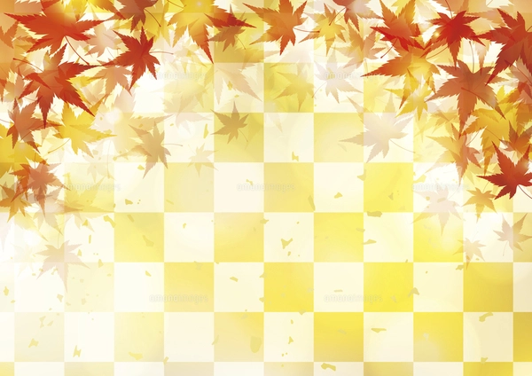 紅葉と市松模様 秋の和風背景 ベージュのイラスト素材