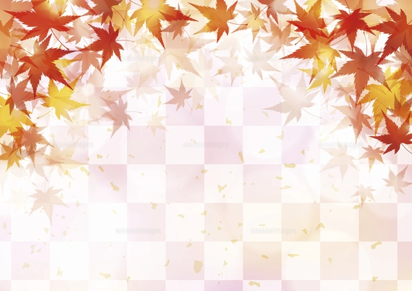 紅葉と市松模様 秋の和風背景 ベージュのイラスト素材