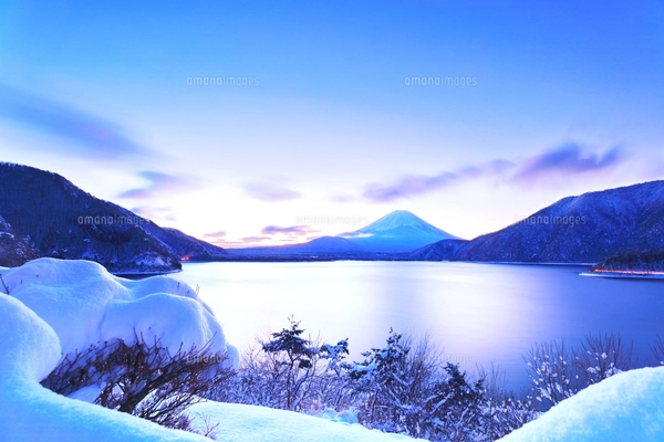 冬の琵琶湖の水鳥7の写真素材 [FYI00204428] | ストックフォトの