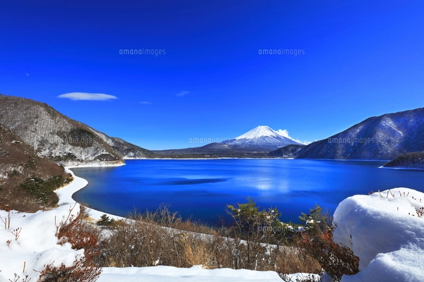 世界遺産 冬の本栖湖より富士山に松と雪の写真素材 [FYI05026814