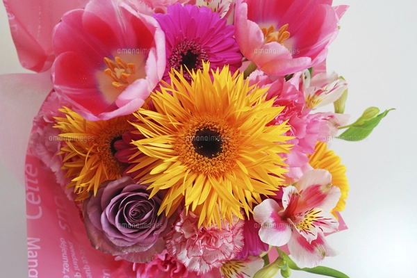 モールフラワー【N84@】チューリップとガーベラの花束3セット ガーベラ チューリップ花束画像 モールフラワー N84 様専用