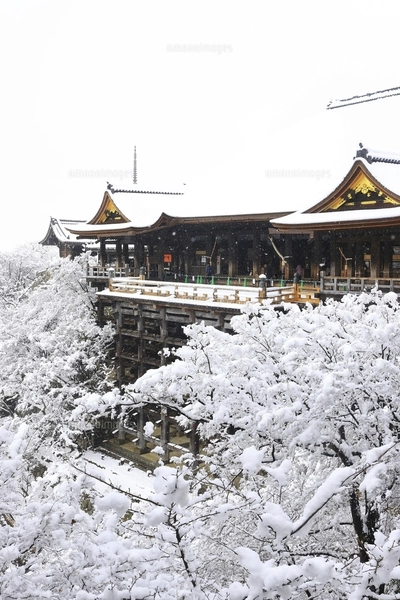 清水寺雪景色 京都府の写真素材 [FYI05054668] | ストックフォトの
