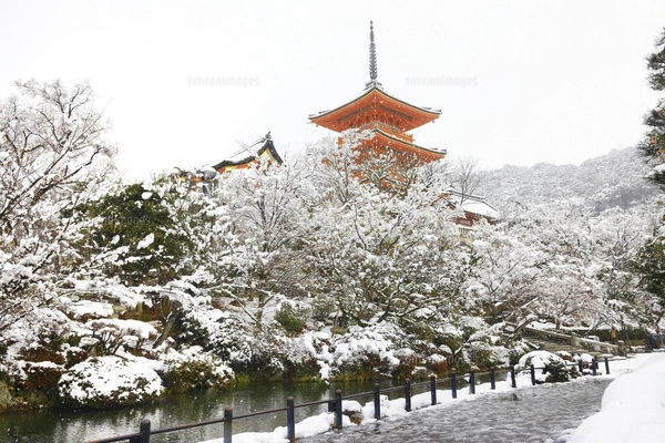 清水寺雪景色 京都府の写真素材 [FYI05054637] | ストックフォトの