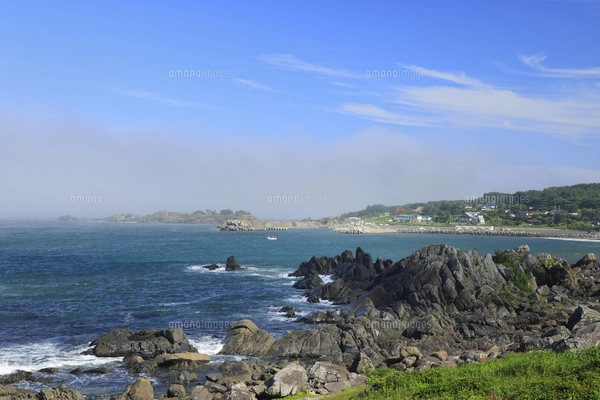 種差海岸 青森県 八戸市の写真素材 [FYI05066486] | ストックフォトの