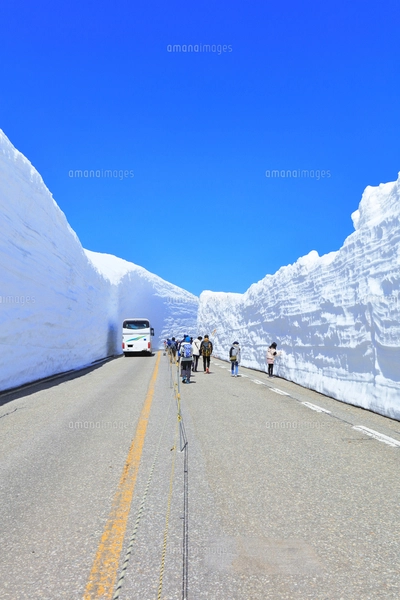 春の立山 雪の大谷に高原バスと快晴の空の写真素材 [FYI05070927