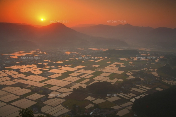 山頂からの水田と朝焼け（大分県玖珠町 伐株山）の写真素材