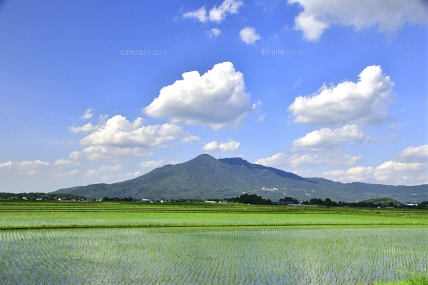 筑波山映す田植えの済んだ水田と筑波山に浮雲の写真素材 [FYI05102407
