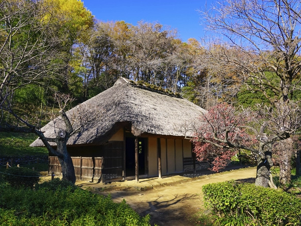 江戸時代からの養蚕農家 旧永井家住宅 薬師池公園（町田市）の写真素材