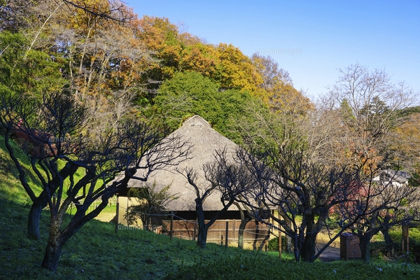 江戸時代からの養蚕農家 旧永井家住宅 薬師池公園（東京都町田市）の