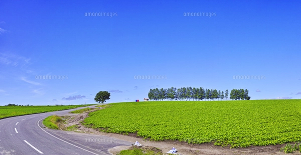【オーダー用】北海道の風景写真 オーダー用】北海道の風景写真