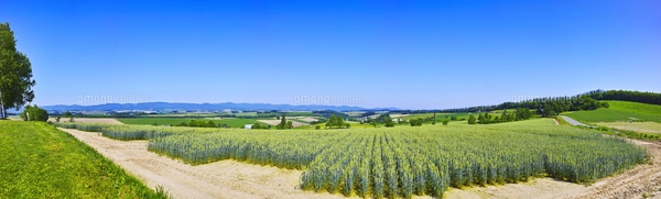 【オーダー用】北海道の風景写真 19,045 北海道 景色 Stock Photos, High-Res Pictures, and