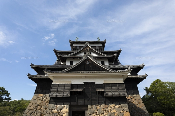 松江城天守閣の鯱鉾の写真素材 [FYI05294713] | ストックフォトの