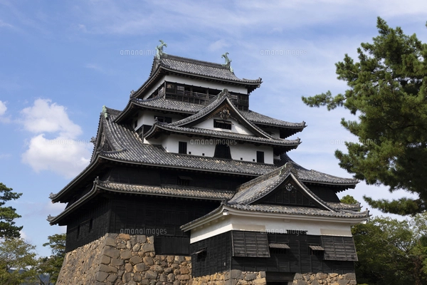 松江城天守閣の鯱鉾の写真素材 [FYI05294713] | ストックフォトの