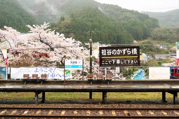 土讃線の車窓風景 大歩危駅の写真素材 [FYI07430280] | ストックフォト