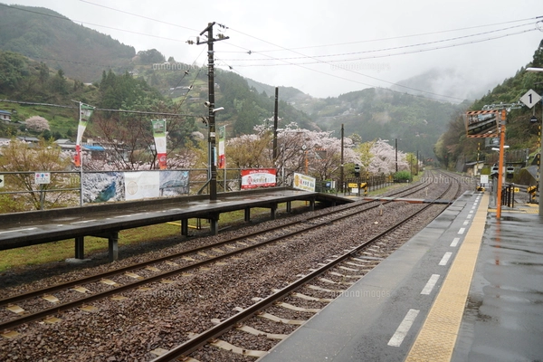土讃線の車窓風景 大歩危駅の写真素材 [FYI07430280] | ストックフォト