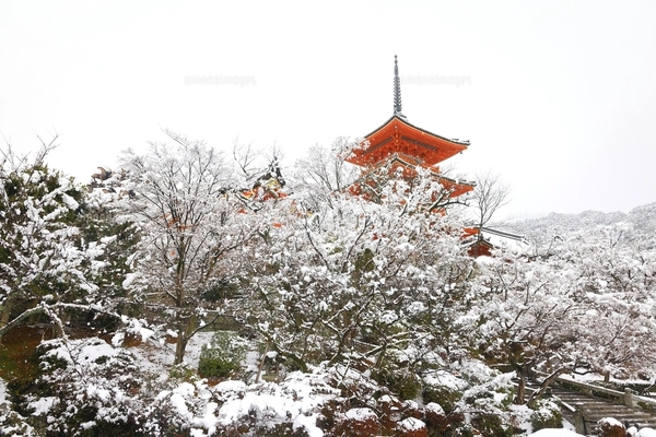 清水寺雪景色 京都府の写真素材 [FYI07443744] | ストックフォト