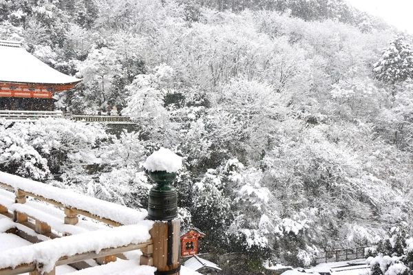 清水寺　雪景色　額入り Masayuki Nakamura | *** 清水寺/雪舞台 Kiyomizu-dera Temple
