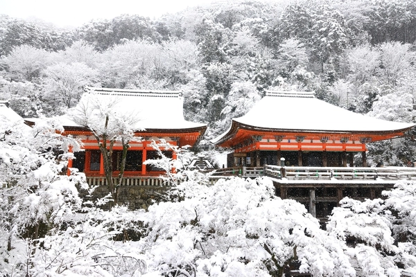 清水寺雪景色 京都府の写真素材 [FYI07443744] | ストックフォト